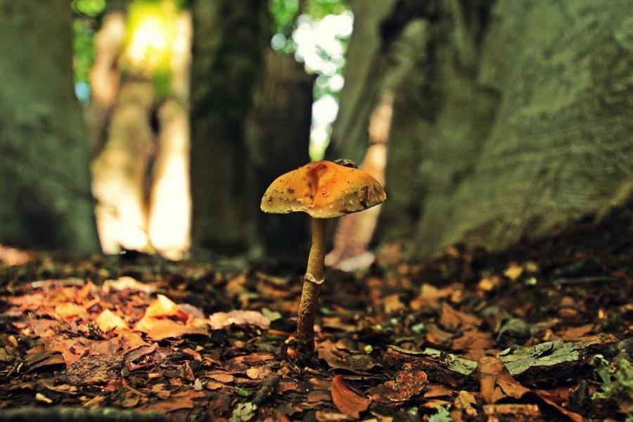 Omilaia Gardiki Bagian luar foto