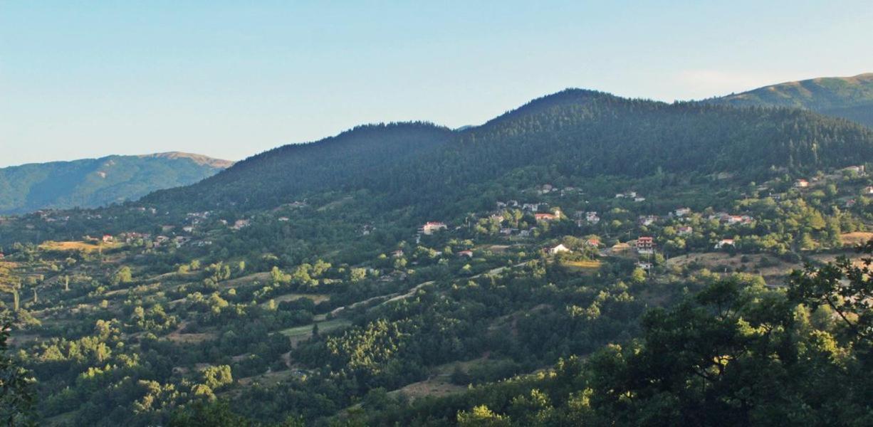Omilaia Gardiki Bagian luar foto
