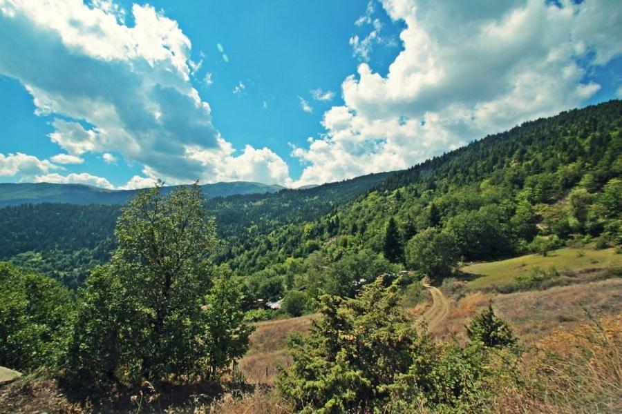 Omilaia Gardiki Bagian luar foto